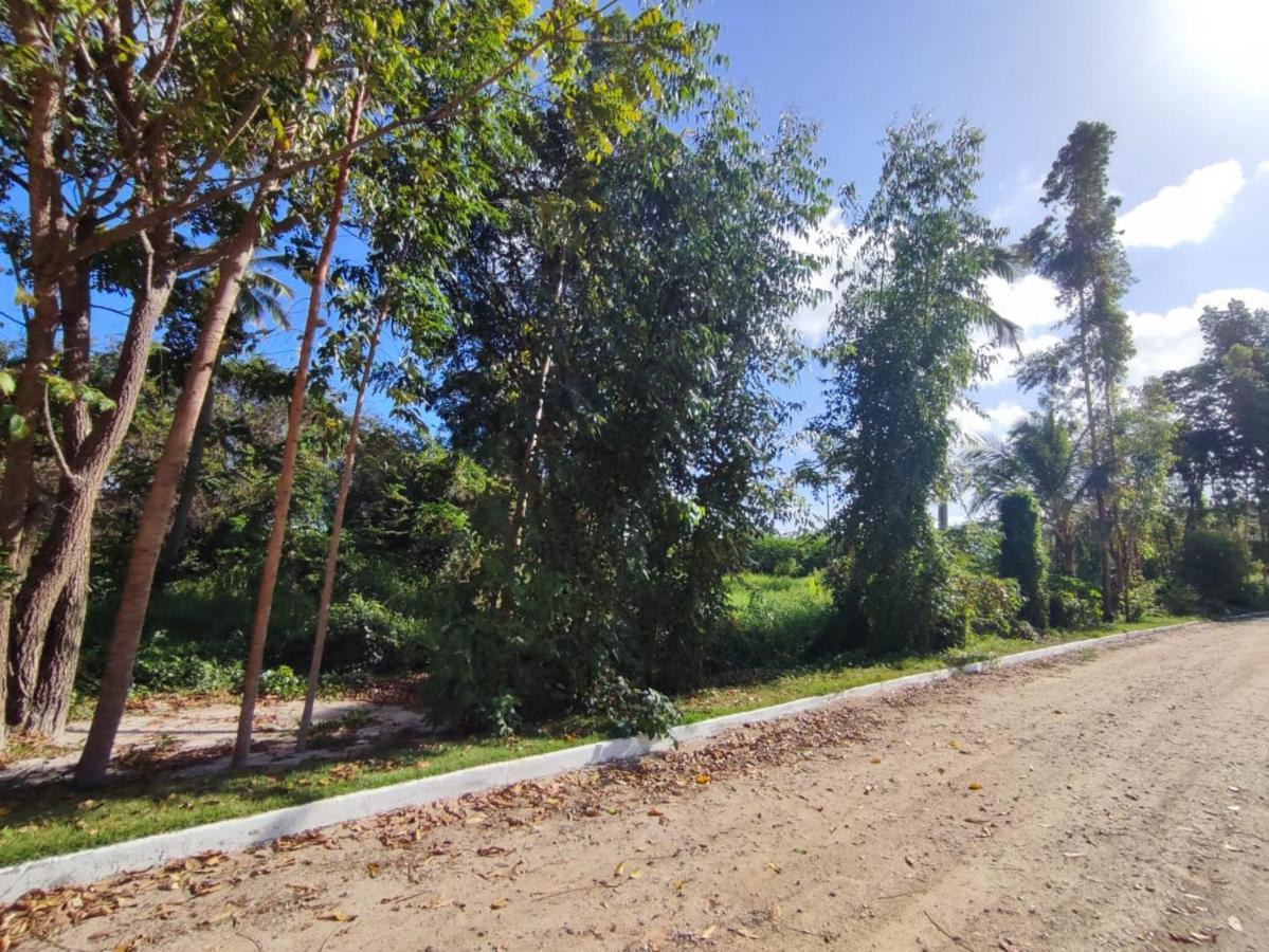 Casa Nova 2 Villa São José da Coroa Grande Eksteriør bilde